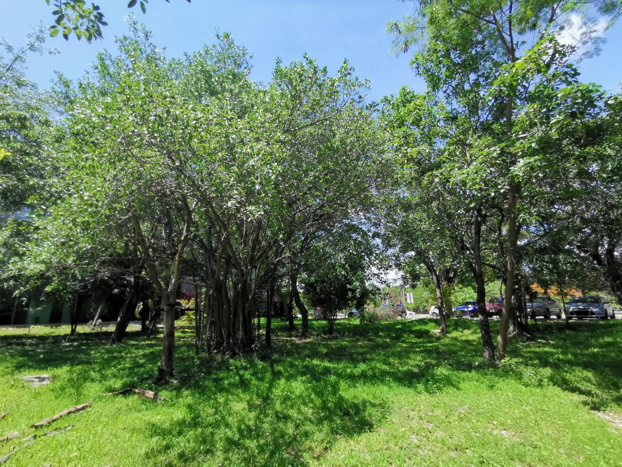 קנקון Beautiful & Cozy Near Beach Apartment Pool & Kingsize Bed חדר תמונה